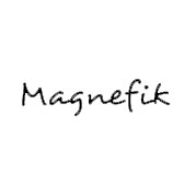 Logo Magnefik